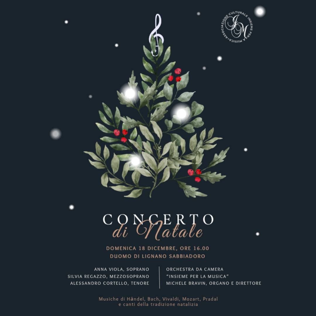 Concerto di Natale “Insieme per la musica”